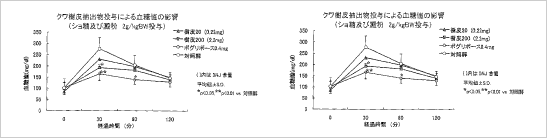 研究報告書