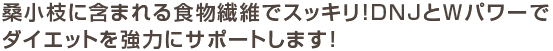 桑小枝に含まれる食物繊維でスッキリ！DNMとWパワーでダイエットを強力にサポートします！